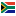 South Africa Cup