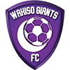 Wakiso United